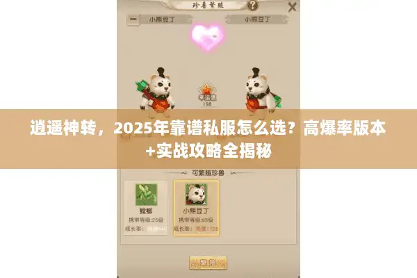 逍遥神转，2025年靠谱私服怎么选？高爆率版本+实战攻略全揭秘