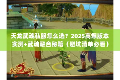 天龙武魂私服怎么选?2025高爆版本实测+武魂融合秘籍(避坑清单必看) 天龙武魂私服怎么选?2025高爆版本实测+武魂融合秘籍(避坑清单必看)