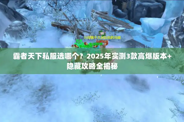 霸者天下私服选哪个？2025年实测3款高爆版本+隐藏攻略全揭秘
