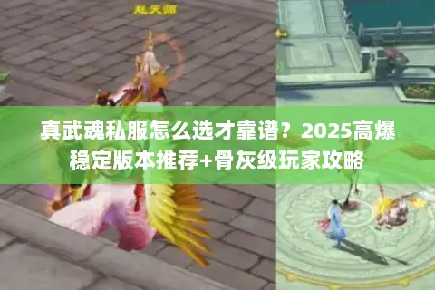 真武魂私服怎么选才靠谱？2025高爆稳定版本推荐+骨灰级玩家攻略