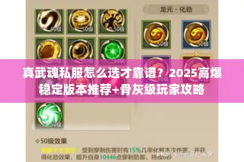 真武魂私服怎么选才靠谱？2025高爆稳定版本推荐+骨灰级玩家攻略