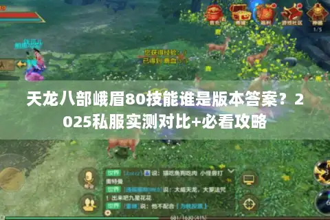 天龙八部峨眉80技能谁是版本答案?2025私服实测对比+必看攻略 天龙八部峨眉80技能谁是版本答案?2025私服实测对比+必看攻略