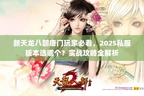 新天龙八部唐门玩家必看，2025私服版本选哪个？实战攻略全解析