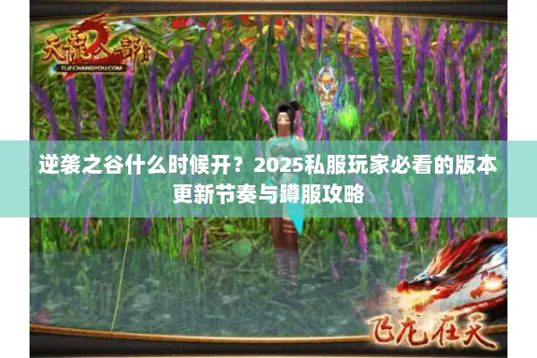 逆袭之谷什么时候开？2025私服玩家必看的版本更新节奏与蹲服攻略