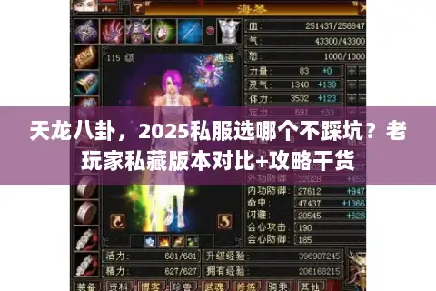 天龙八卦，2025私服选哪个不踩坑？老玩家私藏版本对比+攻略干货