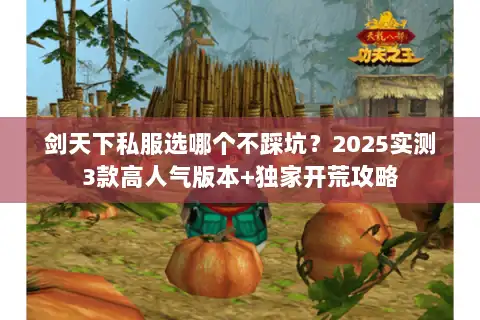 剑天下私服选哪个不踩坑？2025实测3款高人气版本+独家开荒攻略