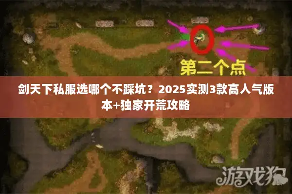剑天下私服选哪个不踩坑？2025实测3款高人气版本+独家开荒攻略