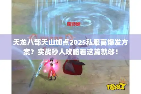 天龙八部天山加点2025私服高爆发方案？实战秒人攻略看这篇就够！