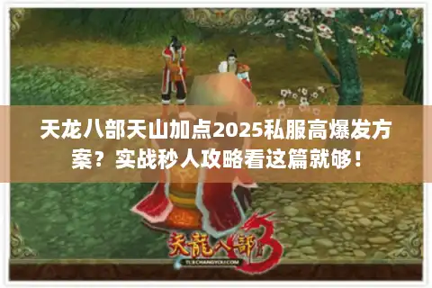 天龙八部天山加点2025私服高爆发方案？实战秒人攻略看这篇就够！