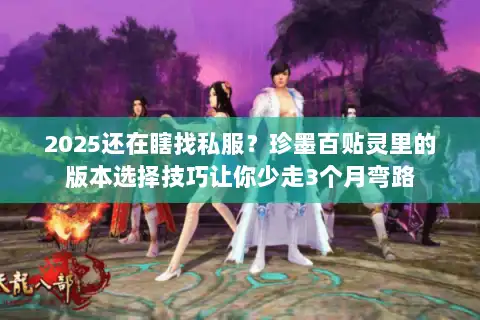 2025还在瞎找私服？珍墨百贴灵里的版本选择技巧让你少走3个月弯路