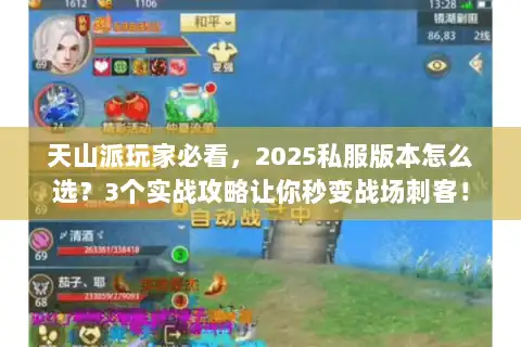 天山派玩家必看，2025私服版本怎么选？3个实战攻略让你秒变战场刺客！