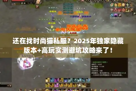 还在找时尚猫私服?2025年独家隐藏版本+高玩实测避坑攻略来了! 还在找时尚猫私服?2025年独家隐藏版本+高玩实测避坑攻略来了!
