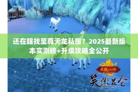 还在瞎找至尊天龙私服？2025最新版本实测榜+升级攻略全公开