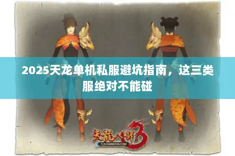 2025天龙单机私服避坑指南，这三类服绝对不能碰