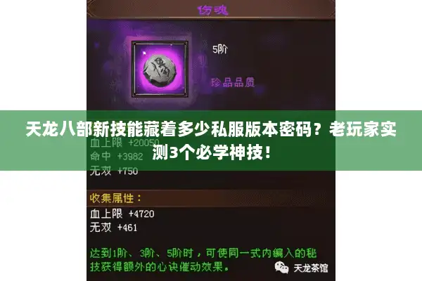 天龙八部新技能藏着多少私服版本密码？老玩家实测3个必学神技！