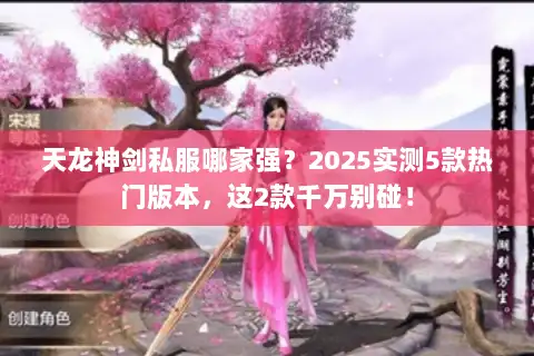 天龙神剑私服哪家强？2025实测5款热门版本，这2款千万别碰！
