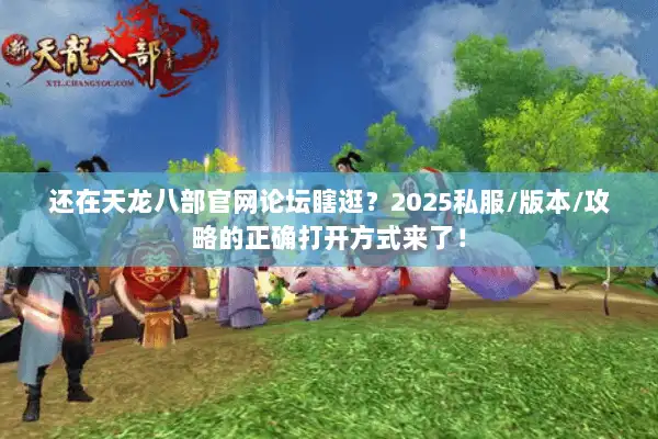 还在天龙八部官网论坛瞎逛？2025私服/版本/攻略的正确打开方式来了！