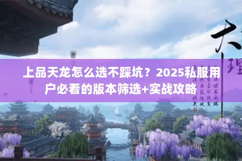 上品天龙怎么选不踩坑？2025私服用户必看的版本筛选+实战攻略