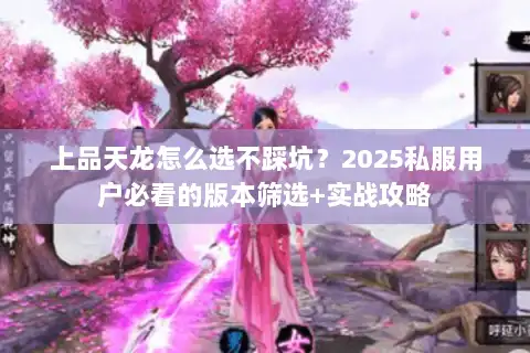 上品天龙怎么选不踩坑？2025私服用户必看的版本筛选+实战攻略