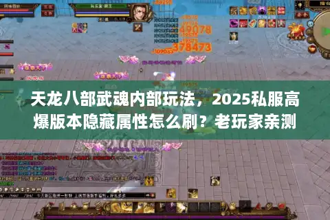 天龙八部武魂内部玩法，2025私服高爆版本隐藏属性怎么刷？老玩家亲测