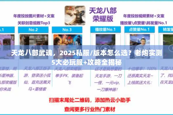 天龙八部武魂，2025私服/版本怎么选？老炮实测5大必玩服+攻略全揭秘