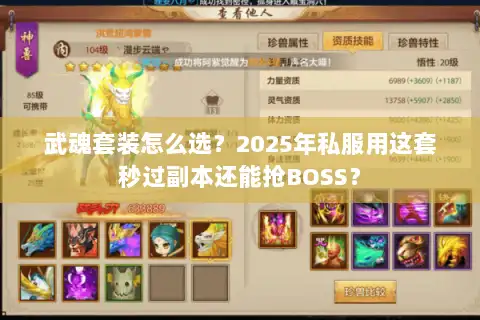 武魂套装怎么选？2025年私服用这套秒过副本还能抢BOSS？