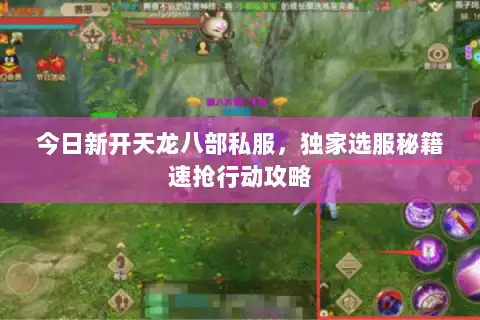 今日新开天龙八部私服，独家选服秘籍速抢行动攻略