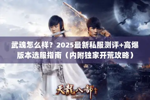 武魂怎么样?2025最新私服测评+高爆版本选服指南(内附独家开荒攻略) 武魂怎么样?2025最新私服测评+高爆版本选服指南(内附独家开荒攻略)