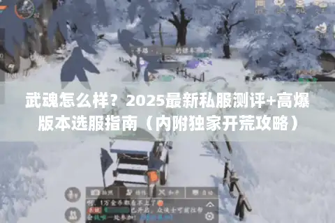 武魂怎么样?2025最新私服测评+高爆版本选服指南(内附独家开荒攻略) 武魂怎么样?2025最新私服测评+高爆版本选服指南(内附独家开荒攻略)