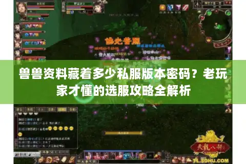 兽兽资料藏着多少私服版本密码？老玩家才懂的选服攻略全解析
