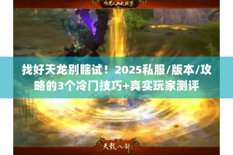 找好天龙别瞎试！2025私服/版本/攻略的3个冷门技巧+真实玩家测评