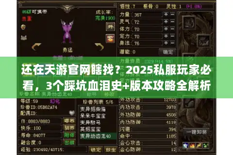 还在天游官网瞎找？2025私服玩家必看，3个踩坑血泪史+版本攻略全解析