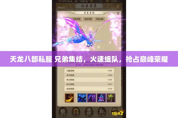 天龙八部私服 兄弟集结，火速组队，抢占巅峰荣耀