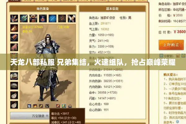 天龙八部私服 兄弟集结，火速组队，抢占巅峰荣耀