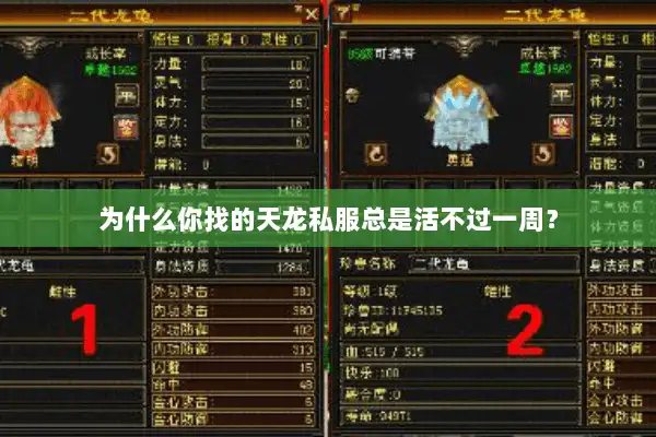 为什么你找的天龙私服总是活不过一周？
