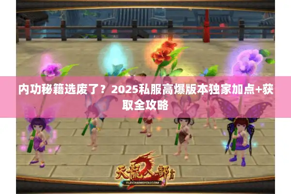 内功秘籍选废了？2025私服高爆版本独家加点+获取全攻略