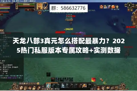 天龙八部3真元怎么搭配最暴力？2025热门私服版本专属攻略+实测数据