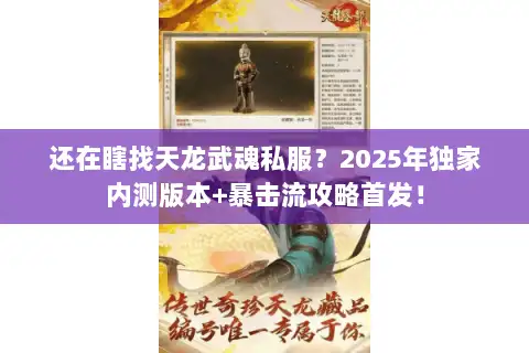 还在瞎找天龙武魂私服？2025年独家内测版本+暴击流攻略首发！