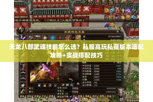 天龙八部武魂技能怎么选？私服高玩私藏版本适配攻略+实战搭配技巧