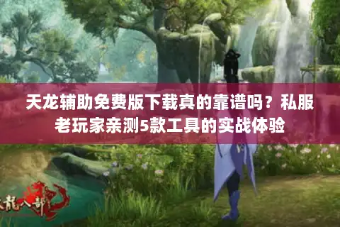 天龙辅助免费版下载真的靠谱吗？私服老玩家亲测5款工具的实战体验