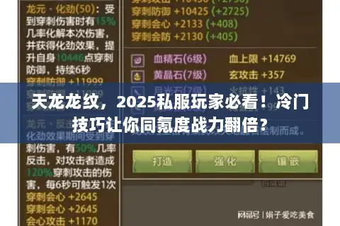 天龙龙纹,2025私服玩家必看!冷门技巧让你同氪度战力翻倍? 天龙龙纹,2025私服玩家必看!冷门技巧让你同氪度战力翻倍?