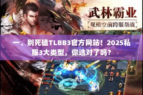 一、别死磕TLBB3官方网站！2025私服3大类型，你选对了吗？