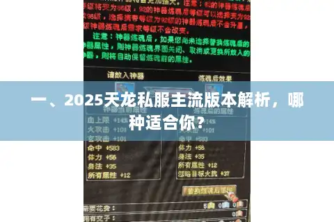 一、2025天龙私服主流版本解析，哪种适合你？