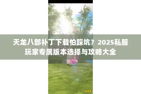 天龙八部补丁下载怕踩坑？2025私服玩家专属版本选择与攻略大全