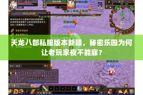 天龙八部私服版本新颖,秘密乐园为何让老玩家夜不能寐? 天龙八部私服版本新颖,秘密乐园为何让老玩家夜不能寐?
