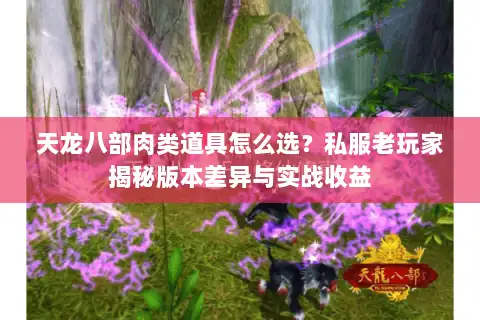 天龙八部肉类道具怎么选？私服老玩家揭秘版本差异与实战收益