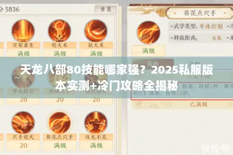 天龙八部80技能哪家强？2025私服版本实测+冷门攻略全揭秘