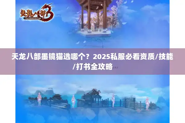 天龙八部墨镜猫选哪个？2025私服必看资质/技能/打书全攻略