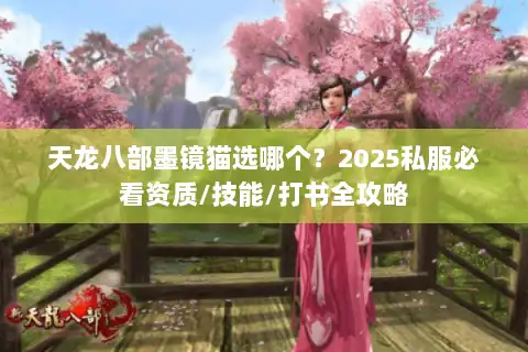 天龙八部墨镜猫选哪个？2025私服必看资质/技能/打书全攻略