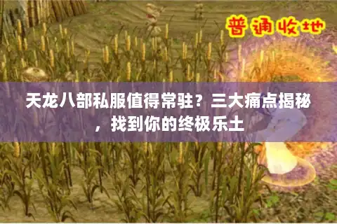 天龙八部私服值得常驻?三大痛点揭秘,找到你的终极乐土 天龙八部私服值得常驻?三大痛点揭秘,找到你的终极乐土